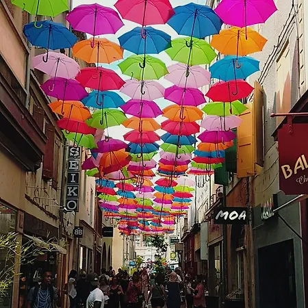 Les Bulles Carcassonnaises Carcassonne